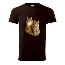 Mačky vectorizované (Moňas)