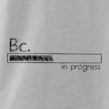 In progress titul Bc. bakalár / bakalárka