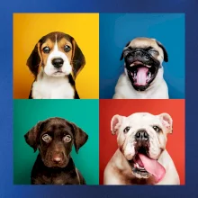 Psi šteňatá koláž