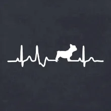 EKG Francouzský buldoček z boku