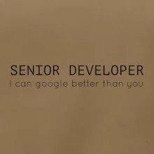 Senior developer google better than you
