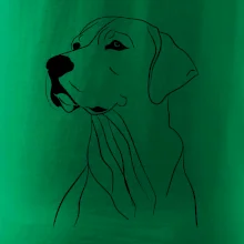 Labrador čierna kresba