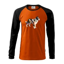 Border kólia zlepená z papiera