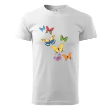 Farebné motýle Farebné motýle