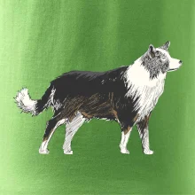 Border kólia kreslená