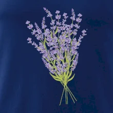 Levanduľa kreslená