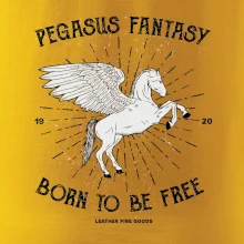 Pegasus fantasy