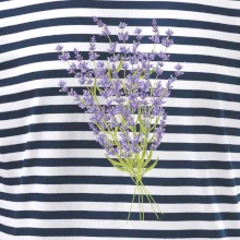 Levanduľa kreslená Levanduľa kreslená