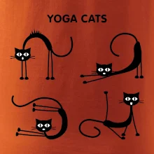 Mačacie jóga (Hana-creative)