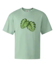 Monstera - dva listy