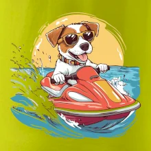 Jack russell teriér na vodnom skútri