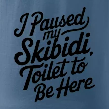 I Paused My Skibidi Toilet to be Here