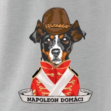 Napoleon domáci kríženec