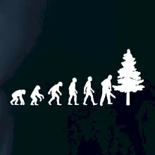 Evolúcia drevorubač - píla a strom Evolúcia drevorubač - píla a strom