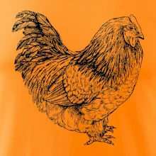 Sliepka čiernobiela Sliepka čiernobiela