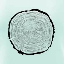 Letokruhy 65 bez veku