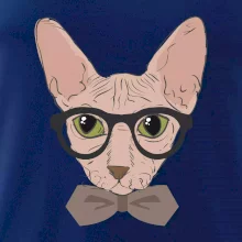 Hipster sphynx