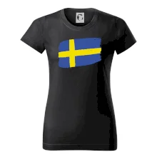 Švédsko vlajka štetkou