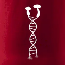 DNA huby DNA huby