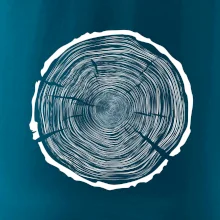 Letokruhy 100 bez veku