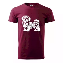 Havanese nápis v tele