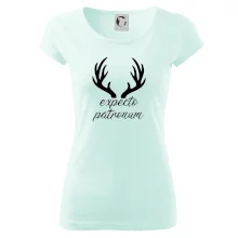 Harry - Expecto patronum Harry - Expecto patronum