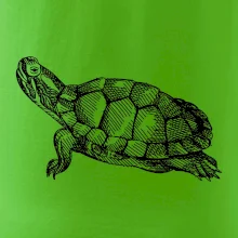 Ceruzkou kreslená korytnačka