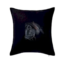 Kôň black Kôň black