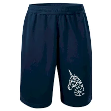 Geometria - jednorožec