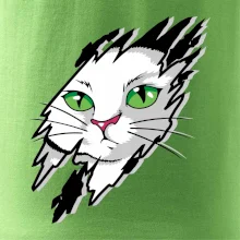 Kočka v roztrženém triku