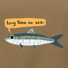 Long time no sea