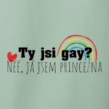Gay princezna Gay princezna