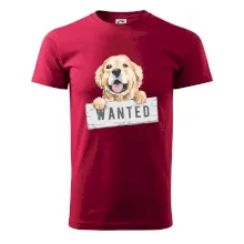 Zlatý retriever - šteniatko wanted