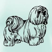 Shih-tzu - chlpatý
