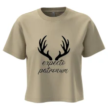 Harry - Expecto patronum