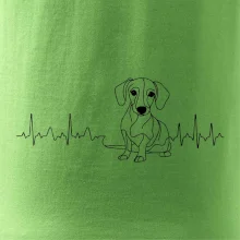 EKG krivka jazvečík