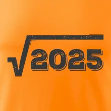 Narodeniny odmocniny 45