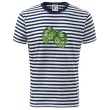 Monstera - dva listy Monstera - dva listy