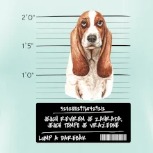 Baset - lump a darebák  