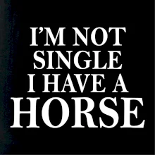 I have a horse