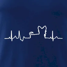 Yorkshirský teriér EKG Yorkshirský teriér EKG