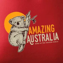 Amazing Australia koala Amazing Australia koala