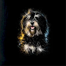 Obrázok poltón Tibetský teriér