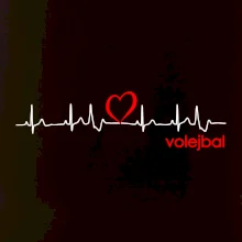 Moje srdce bije pre Volejbal