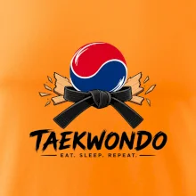 Taekwondo pás a rozlomená deska eat sleep repeat