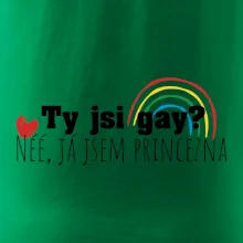 Gay princezna Gay princezna