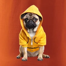 Mops v mikine Mops v mikine