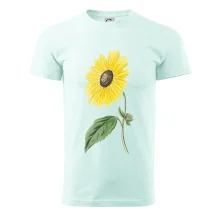 Slnečnica otočená