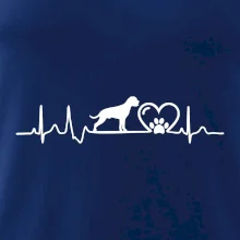 Nemecký boxer EKG Nemecký boxer EKG