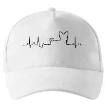 Yorkshirský teriér EKG